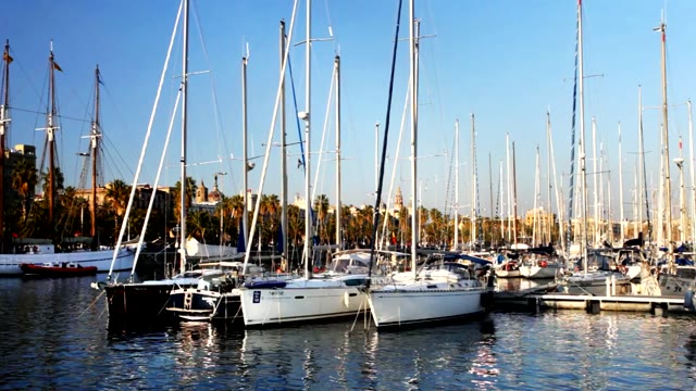 Sailboats in Sunny Marina