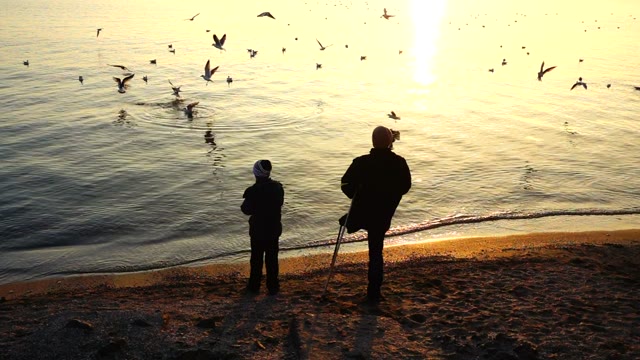 Feeding Seagulls on the Beach