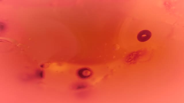 Orange Liquid Bubbles
