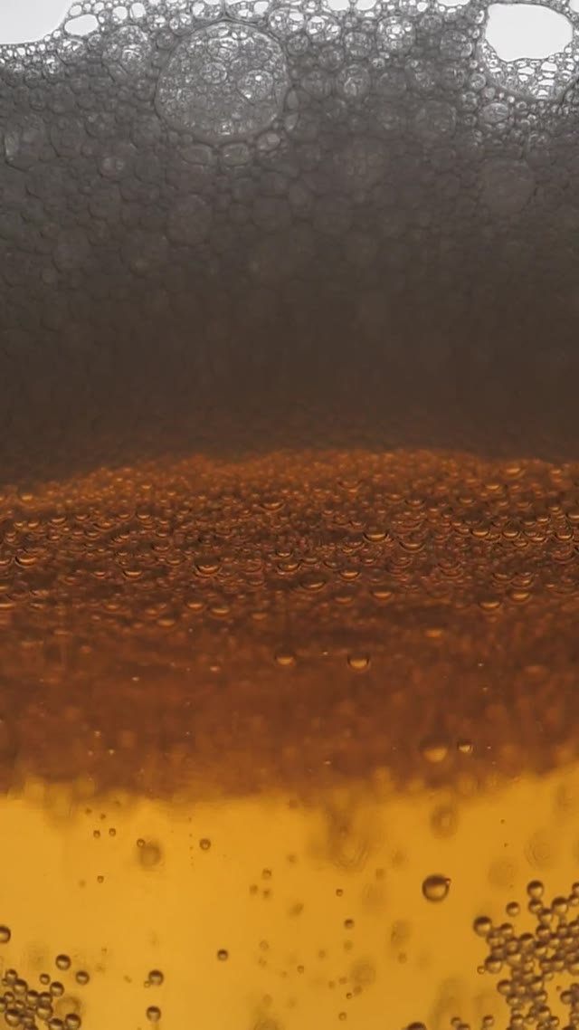 Beer Bubbles Close-up